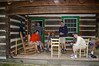 Tulip Tree Cabin : Spring 2007 camping trip to PATC cabin.